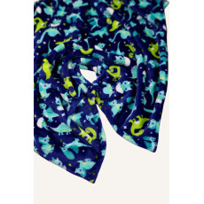 Плюшевий плед Синій з динозаврами