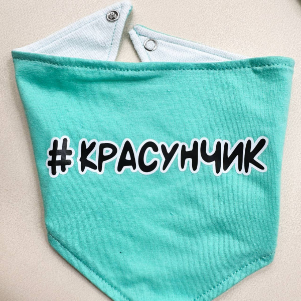 Комплект із куліру 5в1 Бірюзовий боді, повзунки, шапочка, царапки, слюнявчик "Красунчик". (56–62)