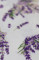 Байкова пелюшка · 80×90 см. · Гілочки лаванди — Babywear